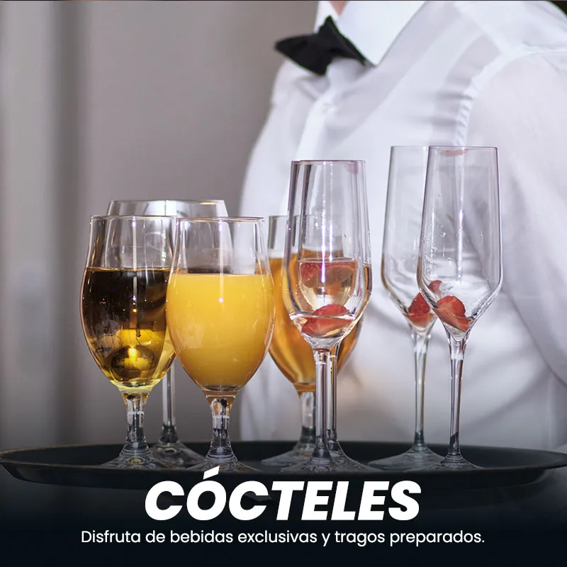 cocteles-palms-bingo