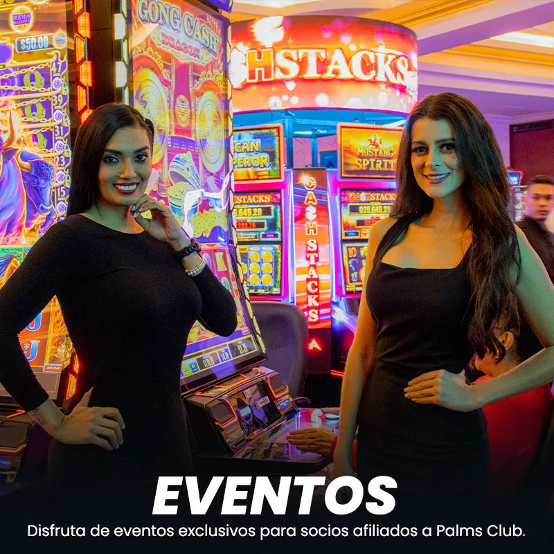 eventos-palms-bingo
